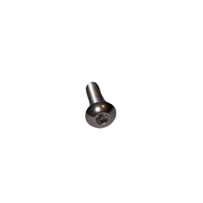 Vis M5x16 à Tête Ronde et Empreinte Allen (Pack de 10)