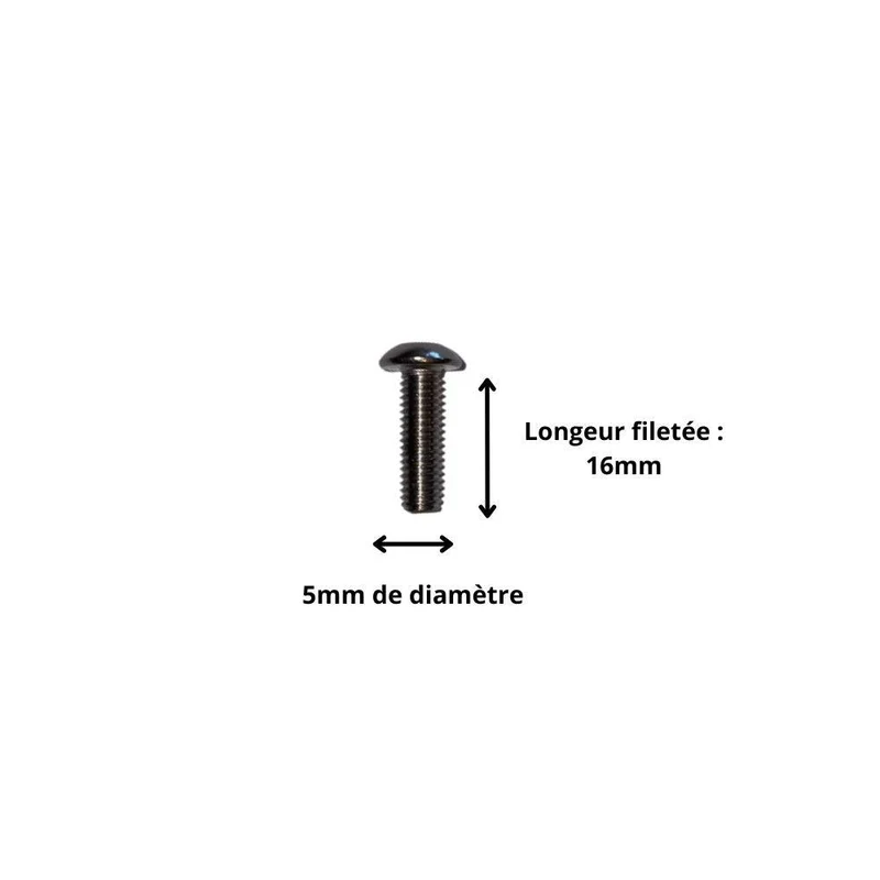 Vis M5x16 à Tête Ronde et Empreinte Allen (Pack de 10)