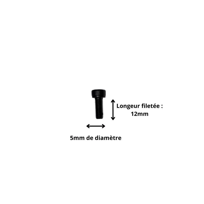 Vis M5x12 à Tête Cylindrique et Empreinte Allen (Pack de 10)