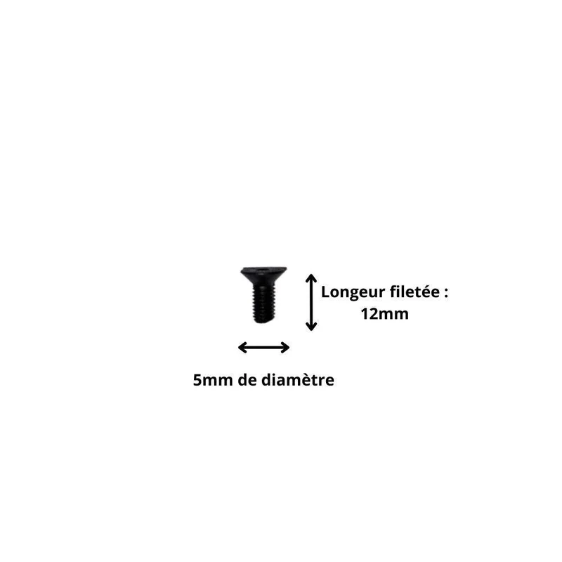 Vis M5x12 à Tête Fraisée et Empreinte Allen (Pack de 10)