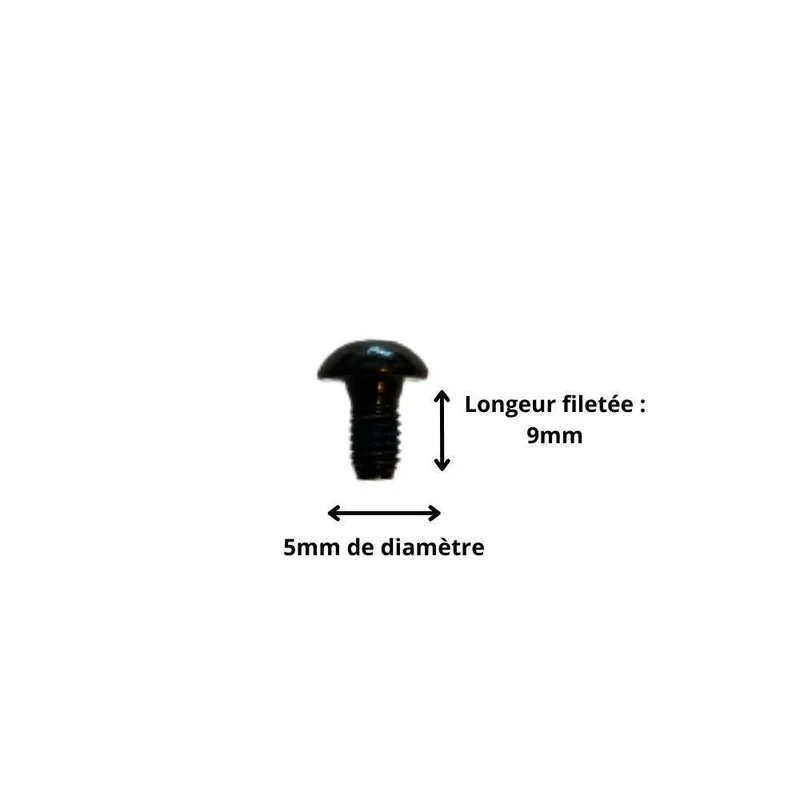Vis M5x9 à Tête Ronde et Empreinte Allen (Pack de 10)