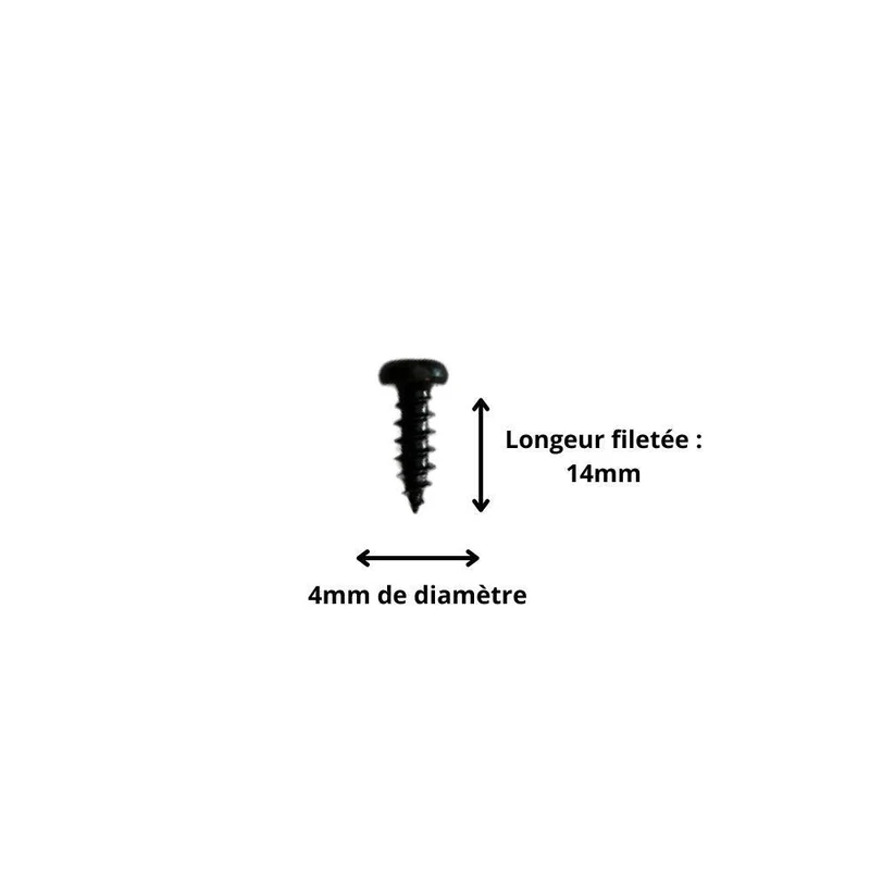 Vis M4x14 à Tête Ronde et Empreinte Cruciforme (Pack de 10)