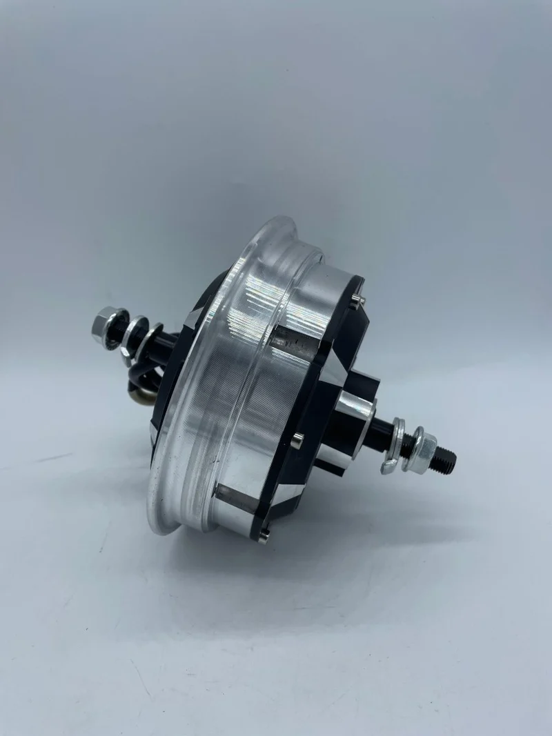 Moteur Brushless 1000W pour Trottinette Électrique Weebot Leika