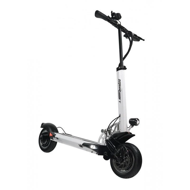 Trottinette Électrique Speedway 5