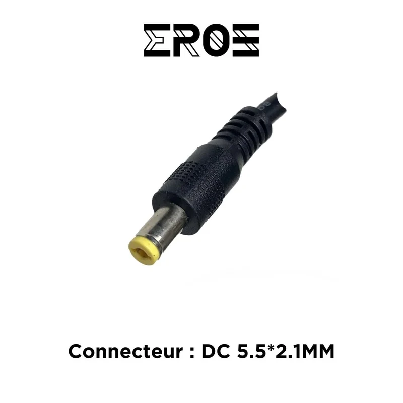 Chargeur Standard de Trottinette Électrique pour Batterie 24V (Connecteur DC 5.5*2.1mm)