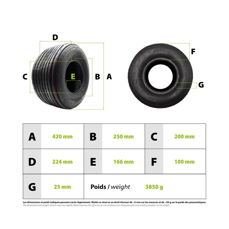 Pneu Citycoco 225/55-8