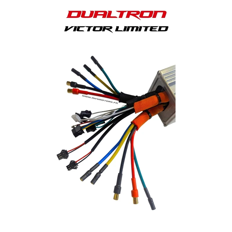 Contrôleur 60V LDVL Dualtron Victor Limited