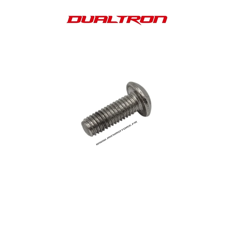 Vis de fixation pour écran EY4 Dualtron