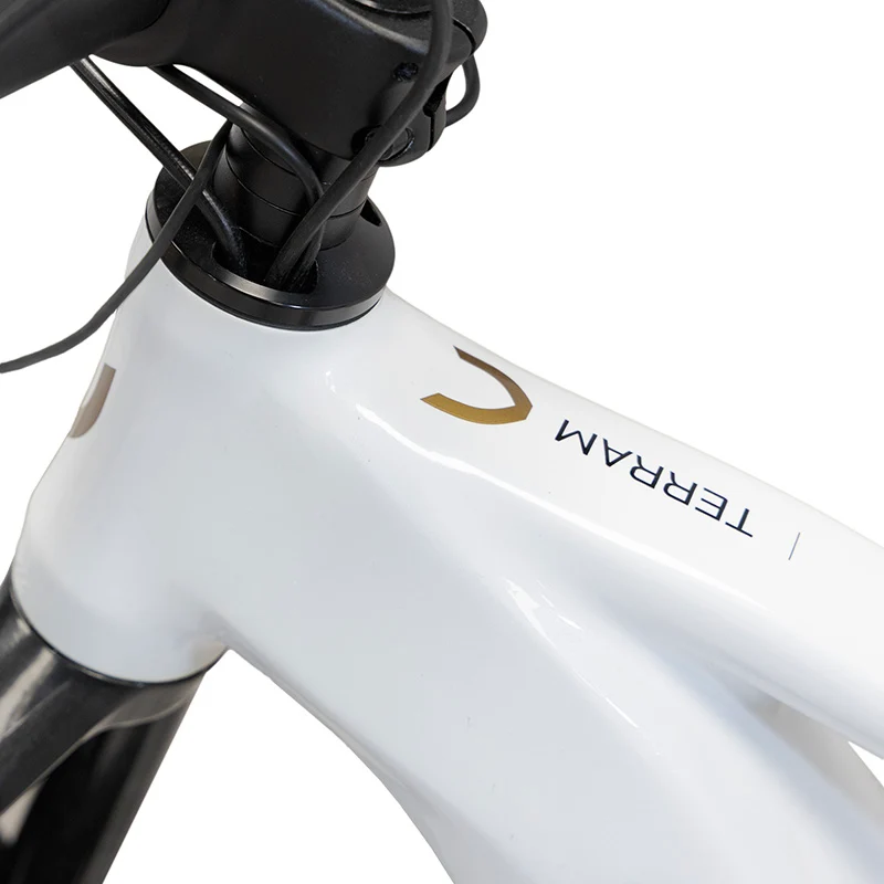 VTT électrique Terram 2.0 Blanc / Gris quartz — Viketory
