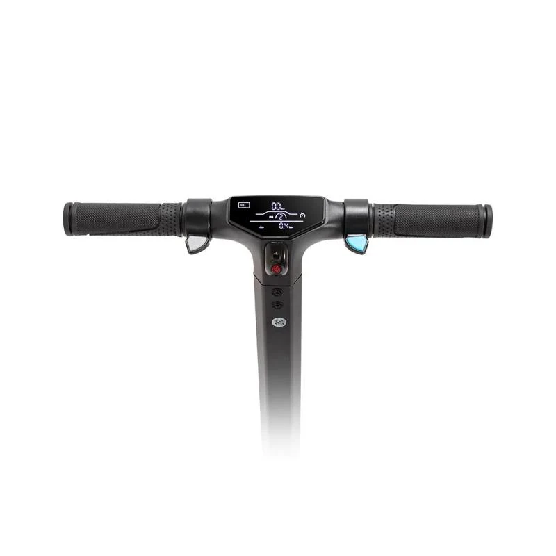 Écran pour Kugoo Kirin S8/S1 pro