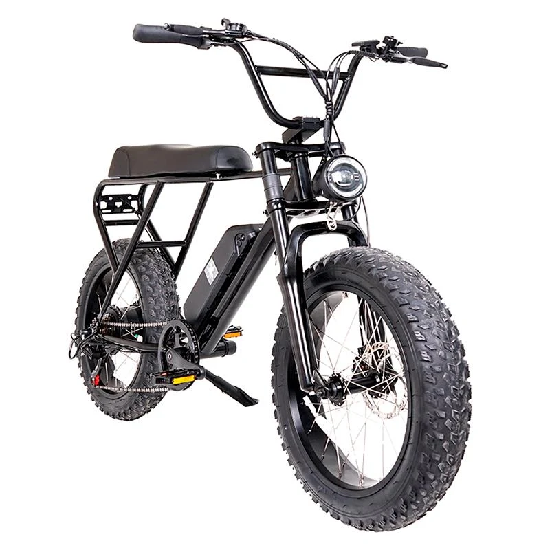 Fat ebike électrique M20X noir 20" avec freins à disque