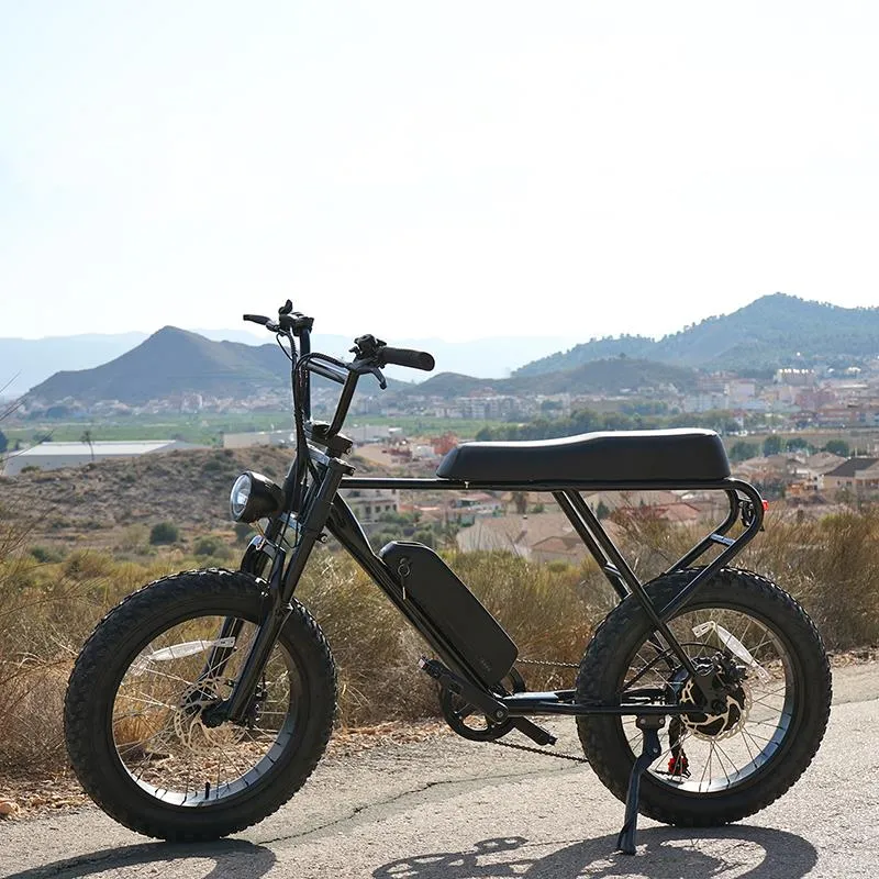 Fat ebike électrique M20X noir 20" avec freins à disque