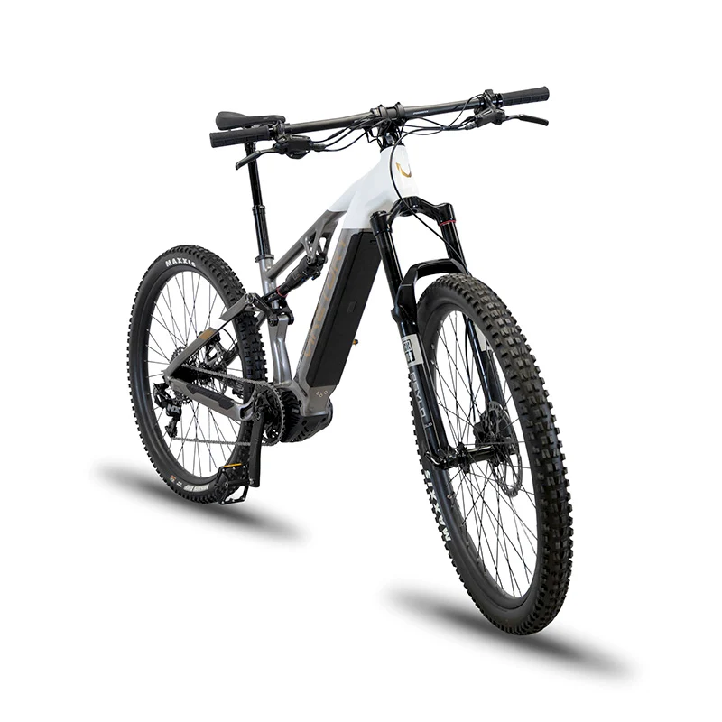 TERRAM vélo électrique VTT Gris/Blanc