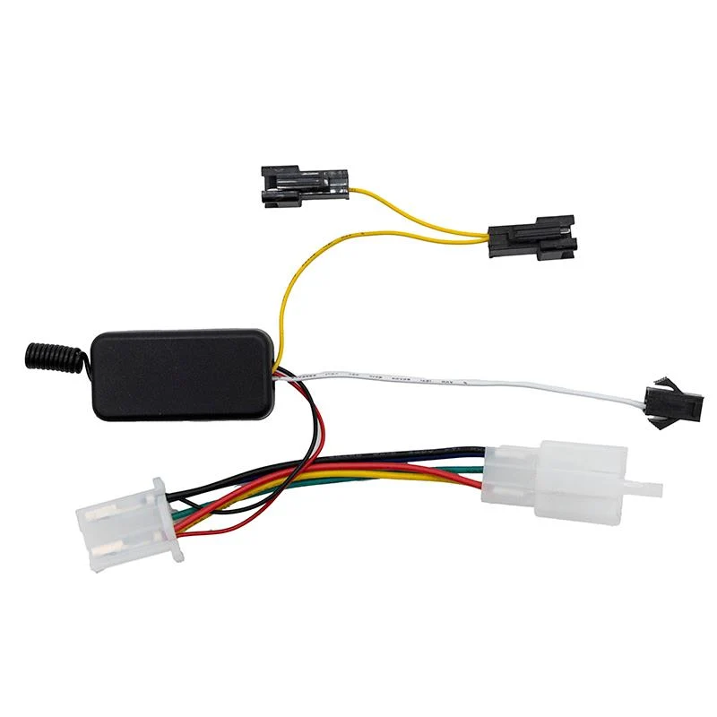 Limiteur de vitesse pour Smartgyro Speedway / Rockway
