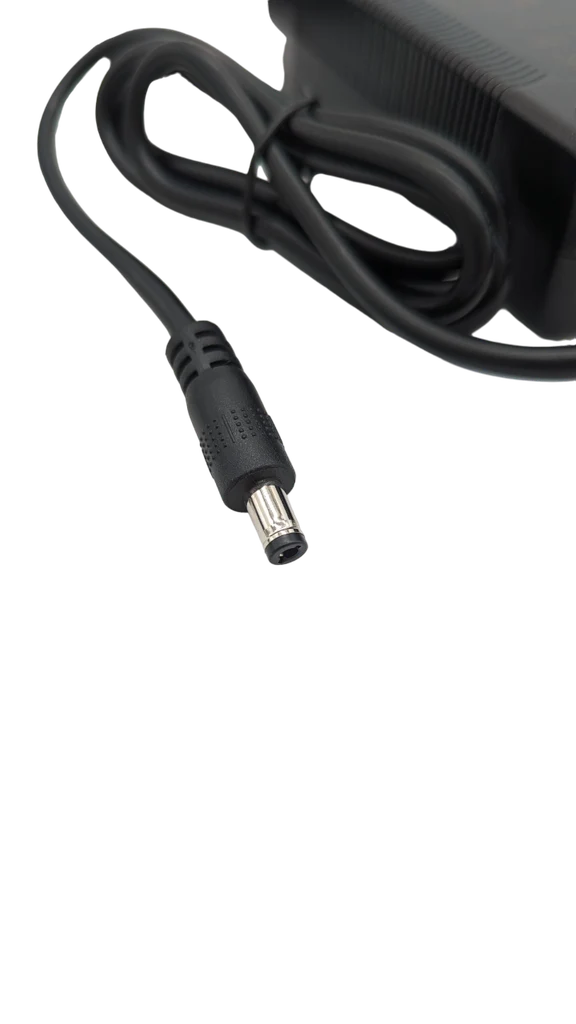 Chargeur 42V 1.5A pour Dualtron Dolphin
