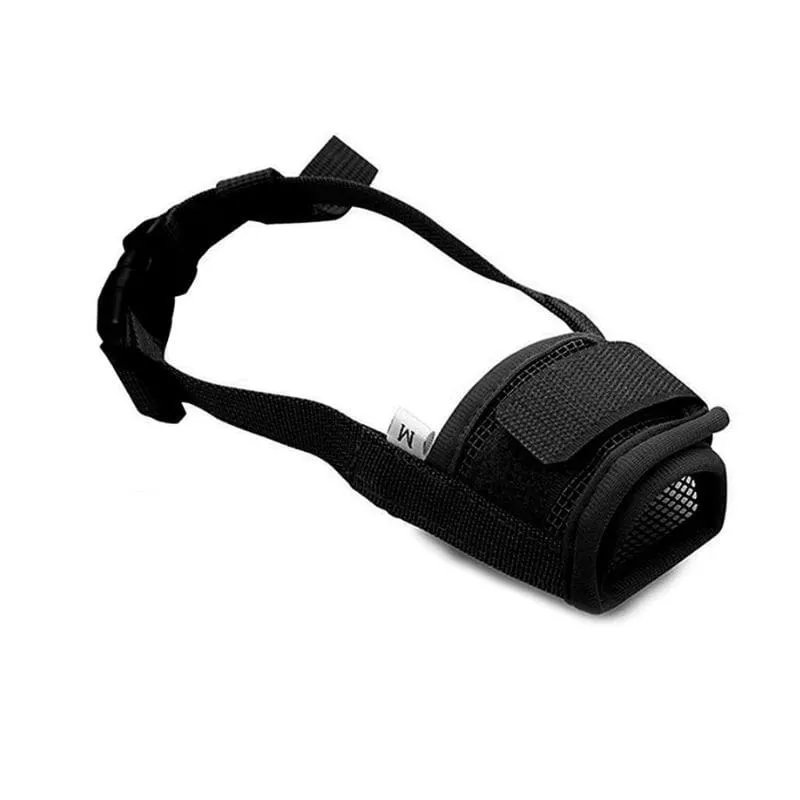 Muselière pour Chien Easy